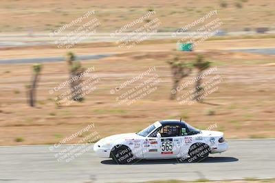 media/May-06-2023-Lucky Dog Racing (Sat) [[8f2256f436]]/Turn 2 10a/